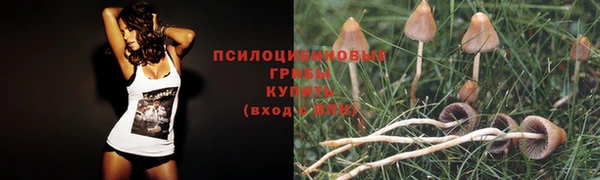 mix Армянск